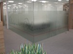 Vinyl Graphics