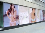 Digital Prints