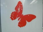 Vinyl Graphics
